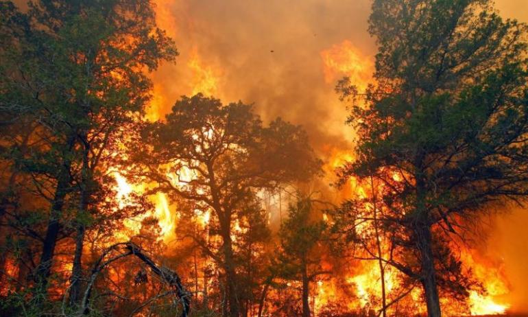 Kebakaran Lahan Kembali Terjadi, Kabut Asap Mulai Muncul
